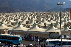 13950616141350291_photol-1