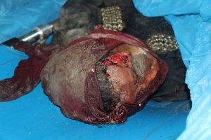 fb_img_1474496467594