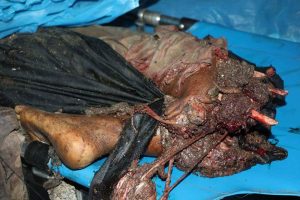 fb_img_1474496482140