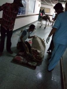 fb_img_1474496552846