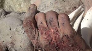 %d8%a7%d9%84%d8%ac%d8%af%d9%8a%d8%af%d8%a9-%d8%a7%d9%84%d8%b2%d9%8a%d8%af%d9%8a%d8%a9-%d9%85%d8%ac%d8%b2%d8%b1%d8%a9